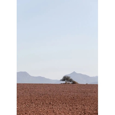 Obrazy - Clint, by Shot: Swart Land No2 - reprodukce obrazu