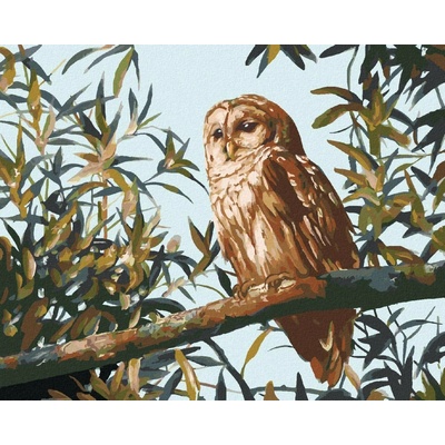 Zuty Malování Podle Čísel Sova Na Větvi A Listy D. Rusty Rust 80 x 100 cm Plátno Rám