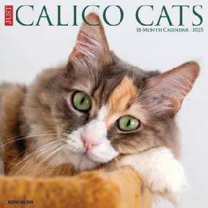 Willow Creek Press Calendars Calico Cats 2026 12 X 12 Wall Calendar | Willow Creek Press