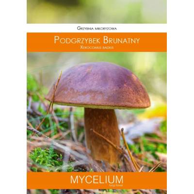Podhoubí hřibu hnědého Mycelium 60 ml