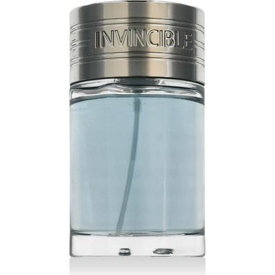 New Brand Invincible toaletní voda pánská 100 ml