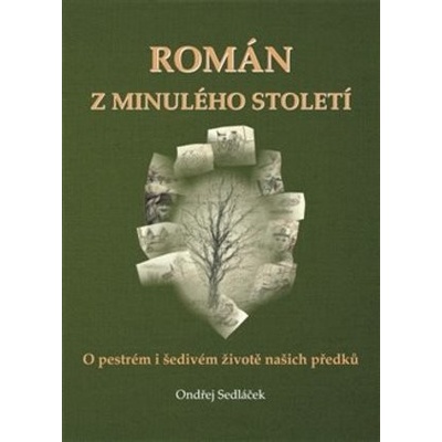 Román z minulého století