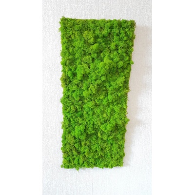 Machový panel 100 cm x 50 cm