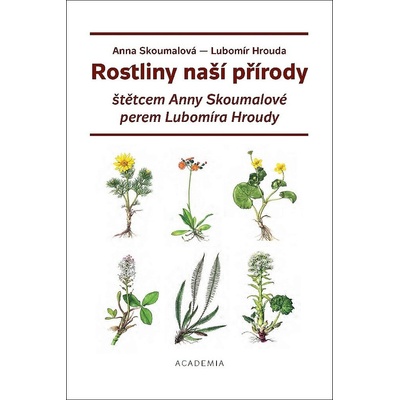Rostliny naší přírody štětcem Anny Skoum