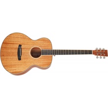 Tanglewood TUN 3