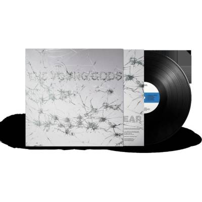 Young Gods: Appear Disappear LP