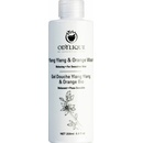 Odylique Sprchový a umývací gél na ruky YLANG YLANG s POMARANČOM 200 ml