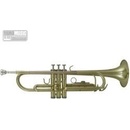ROY BENSON TR-101