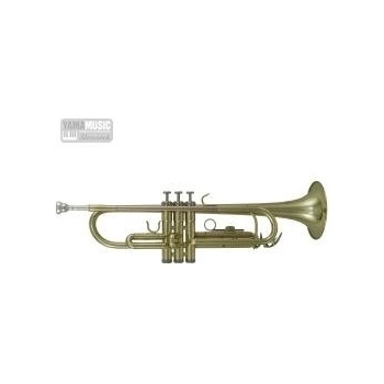 ROY BENSON TR-101