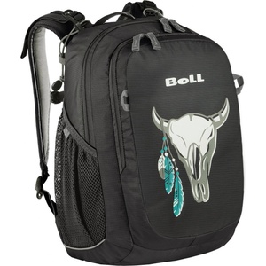 Boll Sioux 15 Skull