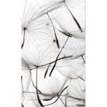 DIMEX ART Флизелинов фототапет пух от глухарче 150 x 250 см