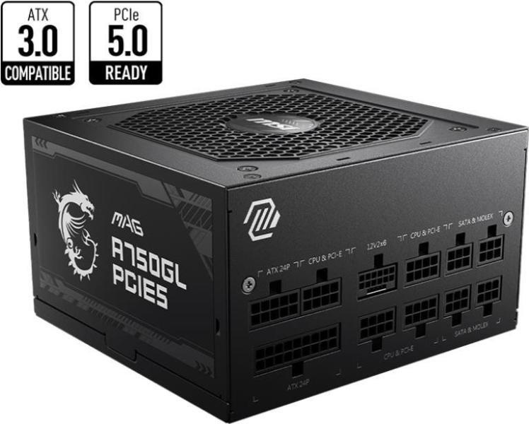 MSI MAG A750GL 750W 80 PLUS Gold (306-7ZP8B11-CE0)