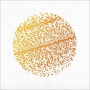 GATHERING - BEAUTIFUL DISTORTION LP