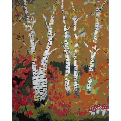 zuty Malování Podle Čísel Břízy Na Podzim 40 x 50 Cm Plátno Rám