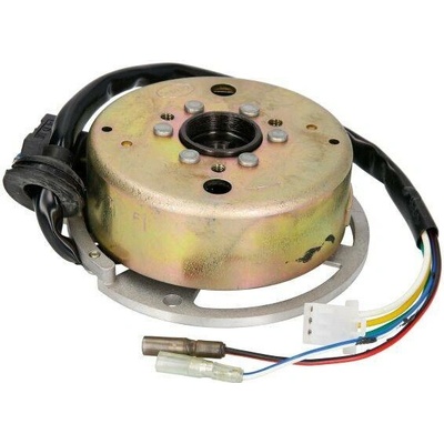 INPARTS stator, generátor APRILIA AMICO 50 LX, GL 90-01, AREA 50 98-03, GULLIVER 50 AC, LC 95-01, RALLY 50 LC DD, AC, LC DT, LC 87-03, SR 50 AC (WWW), LC (STREET), AC, R LC, LC (STEALTH), LC, LC (NETS