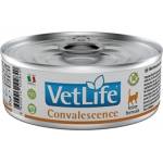 Farmina Vet Life Convalescence - пълноценна диетична консерва за котки за хранително възстановяване, реконвалесценция - 0, 85 кг, Италия - PVT085001