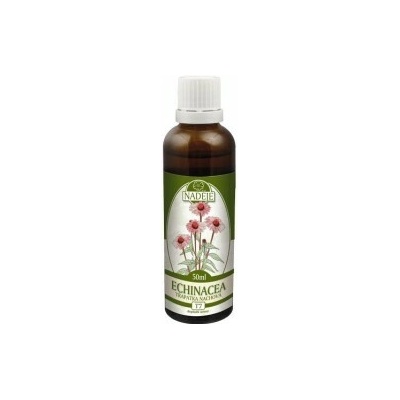 Naděje Echinacea tinktúra z bylín T7 50 ml