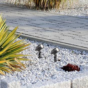 Image 1 of Rábalux Turda 7060