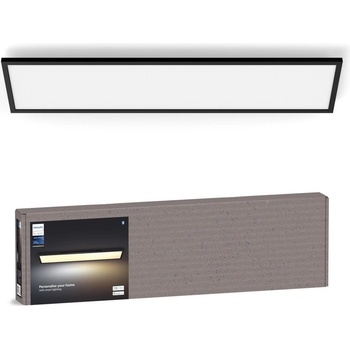 Philips P6834