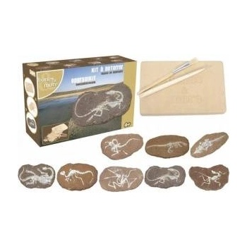Bones&More Large dinosaur figurine - excavation of stones MIX