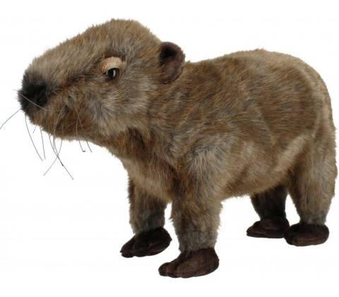 kapybara 33 cm