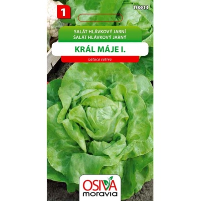 Osiva Moravia Salát hlávkový jarní KRÁL MÁJE I.