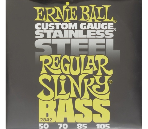 Ernie Ball 2842