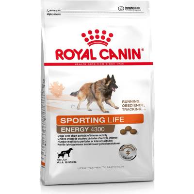Royal Canin Energy 4300 Trail hydinové 15 kg