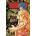 Toriko, Vol. 39