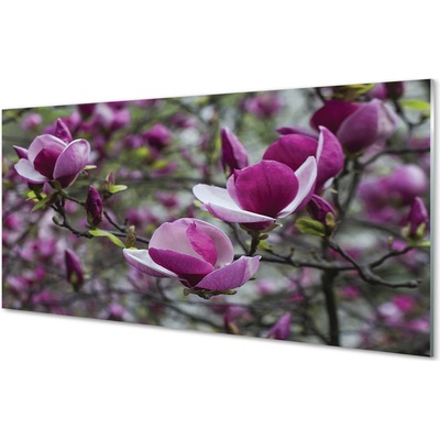 Obraz plexi Fialové magnólia 100x50 cm