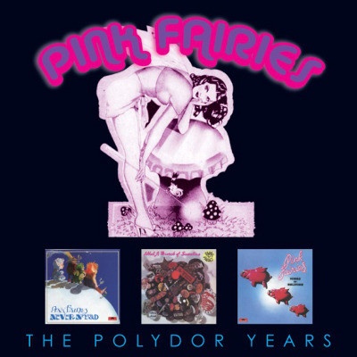 Pazor PINK FAIRIES - POLYDOR YEARS CD