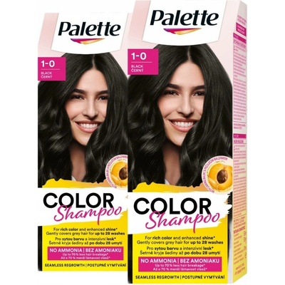 Palette Černá 113 140 ml tónovací šampon