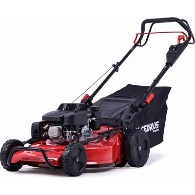 Hahn & Sohn Cedrus LP53S-L