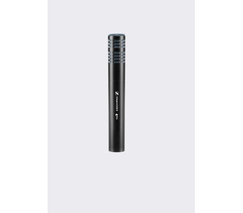 Sennheiser E914