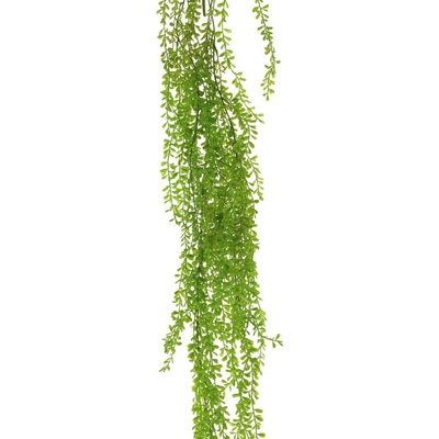 závěsná rostlina knoflíkový list zelená délka 108 cm