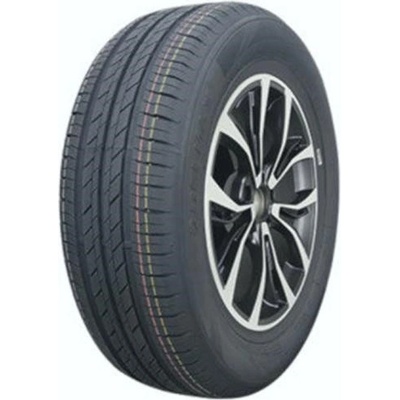 Delmax Touring S1 205/55 R16 91V