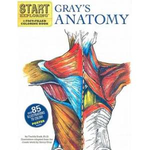 Start Exploring: Gray's Anatomy | Freddy Stark (2011)