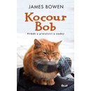 Kocour Bob