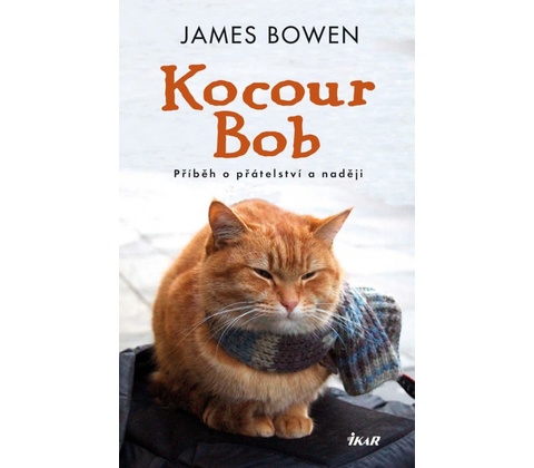 Kocour Bob