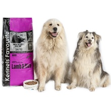 Kennel's Favourite Lamb & Rice 20 kg