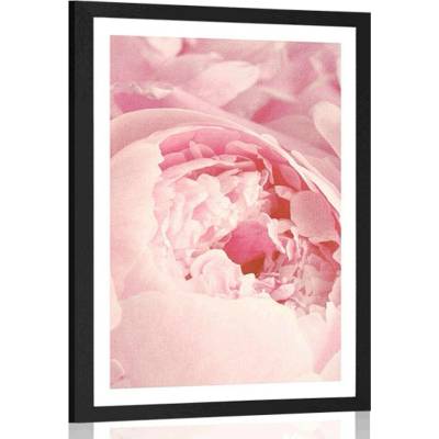 Plakát s paspartou lupínky květu - 30x45 white