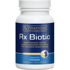 Rx Vitamins Biotic Powder - за подпомагане на храносмилателната система 35 г