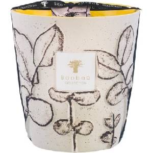 Baobab Collection Folia Calanque Ароматна свещ 16 см (MAX16FCAL)