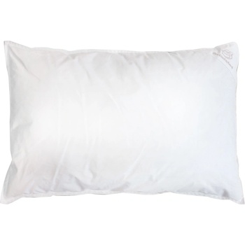 Eva Kiedroňová Dětský péřový polštář 60x40