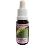 PHI Essences За повече енергия и мотивация - Есенция Габър № 17, капки 15 ml (17 CLASSIC)