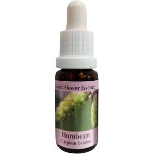 PHI Essences За повече енергия и мотивация - Есенция Габър № 17, капки 15 ml (17 CLASSIC)