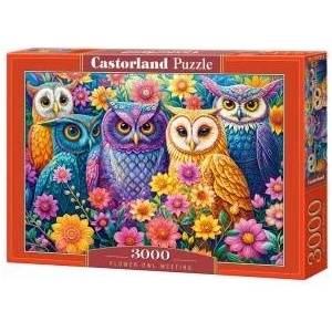 Castorland 3000-piece Flower Owl Meeting Puzzle C-300723-2