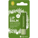 Primavera Regenerační balzám pro suché rty Care & Repair Lip Balm 4,6 g