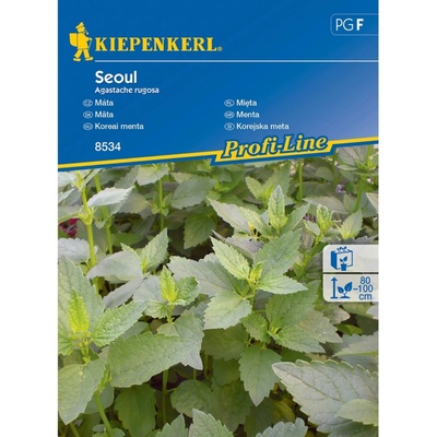 Kiepenkerl Máta Seoul