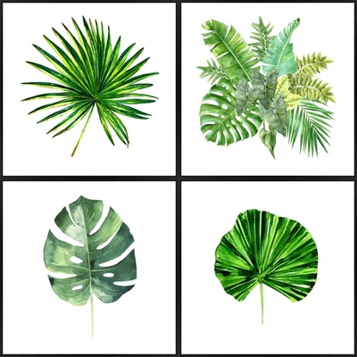 knor Плакат 30x30 cm Monstera (ZEST015DB4X30X30L13,15,051)